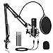 Audio Array AM-C1 USB Condenser Microphone Kit | 192kHz/24bit | 20 ...