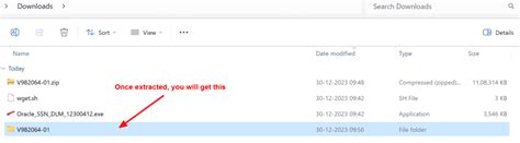 Oracle Client 19C 的图像结果