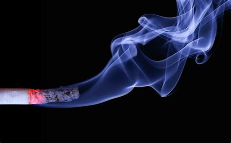刻不容缓： 烟草对环境的威胁｜2022世界无烟日主题与绿会控烟行动- 中国生物多样性保护与绿色发展基金会