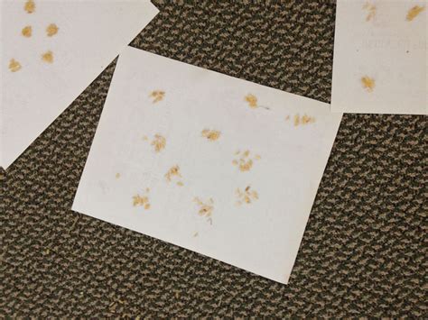 Image result for Math Video Log