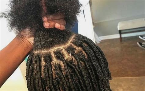 Image result for How to Start Dreadlocks