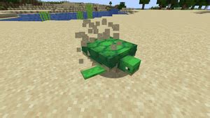 Turtle Tutorial Minecraft 的图像结果