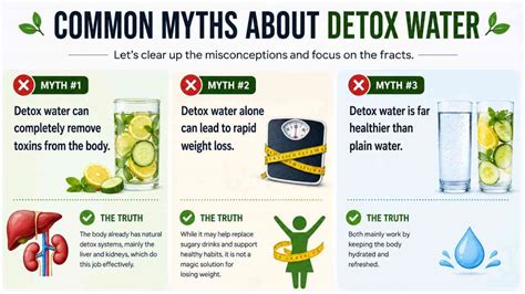 Is Detox water just a trend? Common myths and real benefits revealed ...