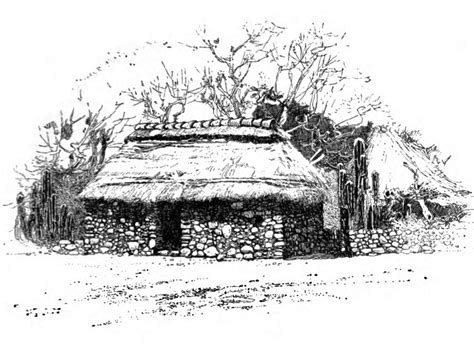 Aztec 的图像结果