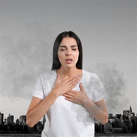 Rise in Air Pollution and How can Bibo help