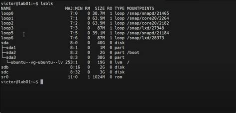 Check Storage in Linux 的图像结果