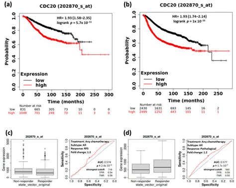 Prognostic and Therapeutic Implications of Cell Division Cycle 20 ...