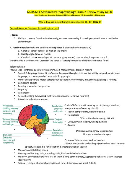 NURS 611 Advanced Pathophysiology Exam 2 Review Study Guide - Scholarfriends