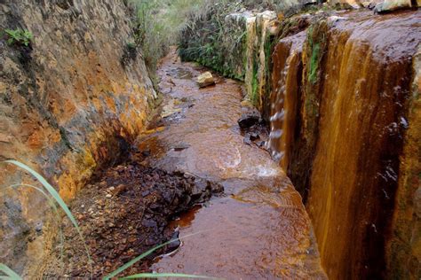 土壤重金属污染的危害土壤重金属污染的危害论文2022已更新今日更新