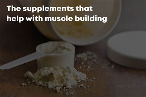 The Best Way To Gain Lean Muscle Mass: The Diet Plan, Workout Plan, and ...