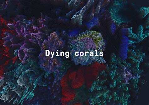 Corals Dying 的图像结果