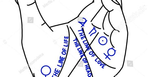 LIFE LINE IN PALMISTRY