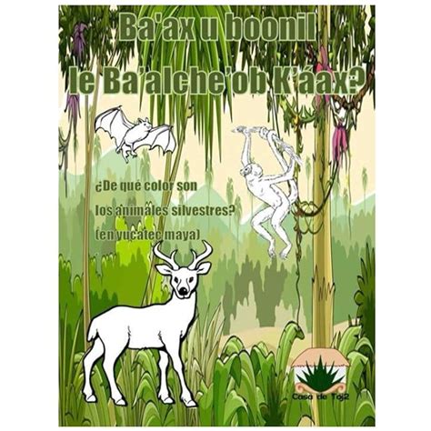 Buy Ba'ax u boonil le Ba'alche'ob K'áax?: ¿De qué color son los ...