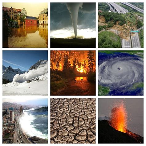 Natural Disasters Examples 的图像结果