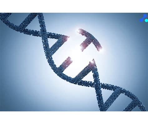 Why is Prevention Better than Cure? | NextClinic