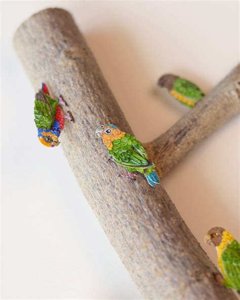 Flock of Pygmy parrots – The Paper Ark