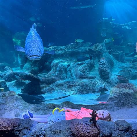 SEA LIFE Charlotte-Concord in Concord, NC (With Photos)