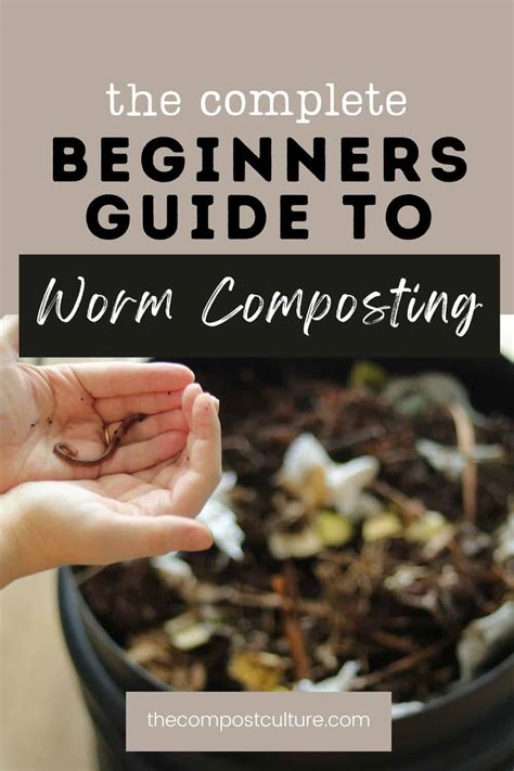 Image result for Worm Composting Tips
