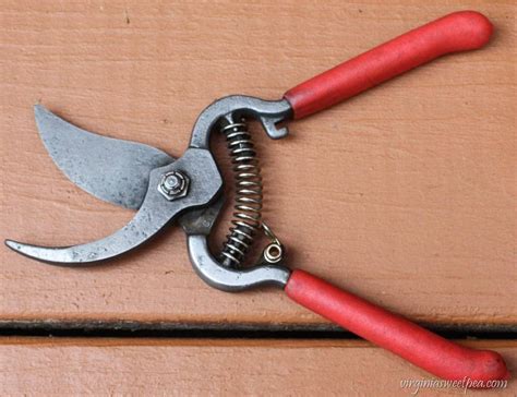 Remove Rust From Tools 的图像结果