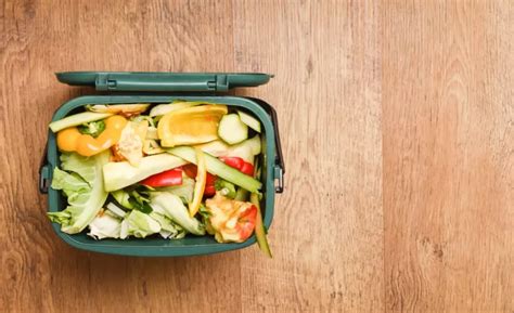 Food Waste 的图像结果