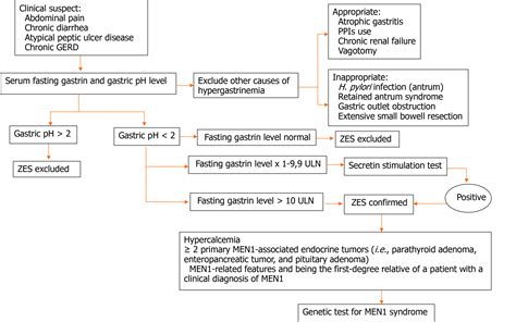 Zollingerellison Syndrome Men 1 Nursing Study