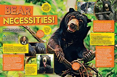 Sun Bear Primary Resource - National Geographic Kids