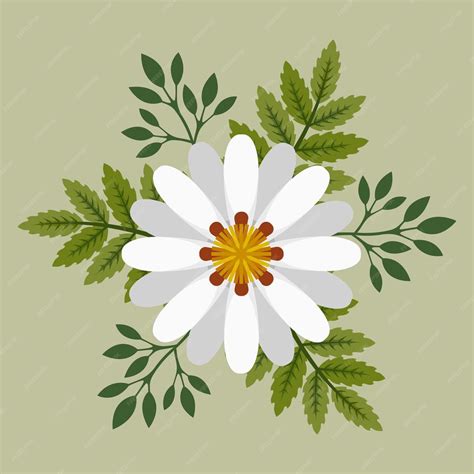Premium Vector | White flower floral nature vector pattern leaf ...