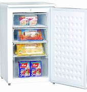 Image result for Standing Freezer