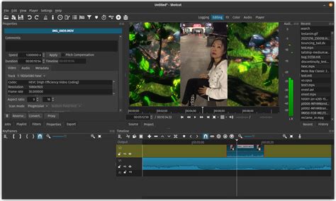 Image result for Shotcut Greenscreen Tutorial