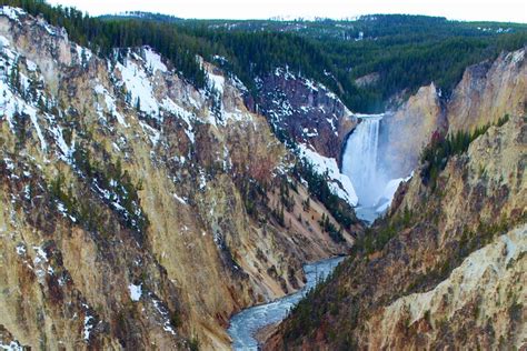 Yellowstone Lower Loop Full-Day Tour | Jackson, WY