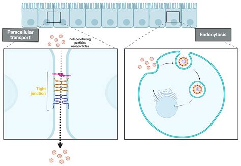 Advances in Nanomedicine for Precision Insulin Delivery