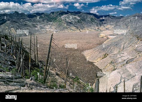 Pyroclastic Flow MT St. Helens 的图像结果