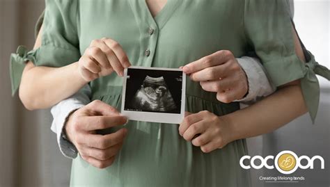 First Trimester of Pregnancy: Symptoms, Changes, and What to Expect