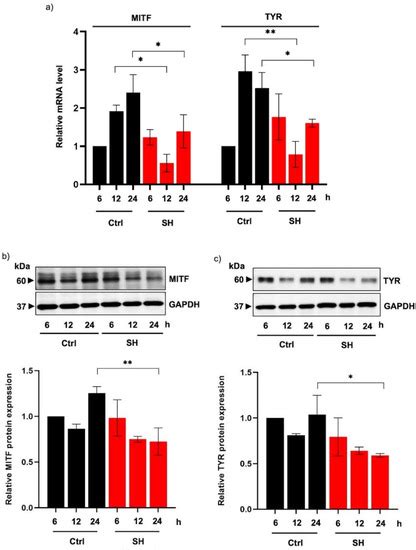 Recycled Sericin Hydrolysates Modified by Alcalase® Suppress ...