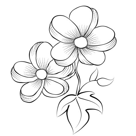 Free Vector line art and hand drawing flower art black and white flat ...
