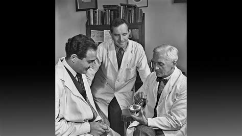 What is penicillin, and how was it discovered?