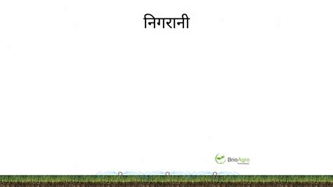 शुरू - BrioAgro Technologies