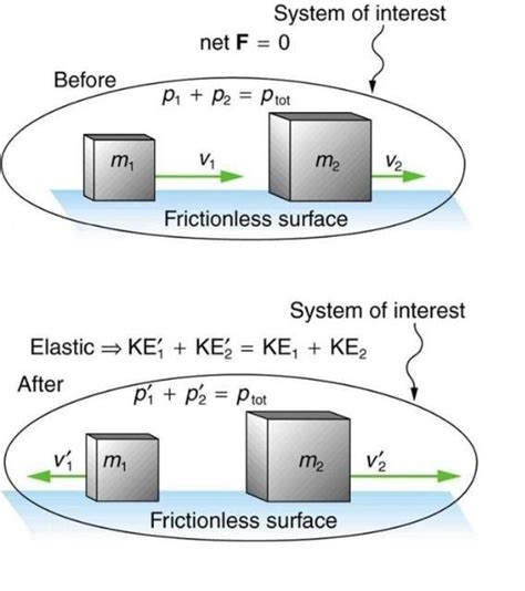 derivation of elastic collision in one dimension - Brainly.in
