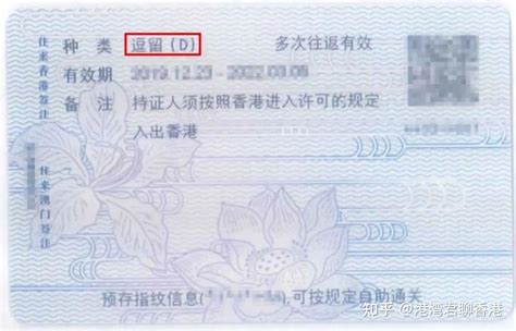 港澳通行证签证类型