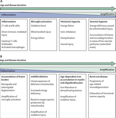 Pathological mechanisms in progressive multiple sclerosis - The Lancet Neurology