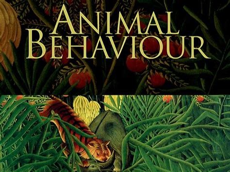 Animal Behaviour Journal Awards — ASAB