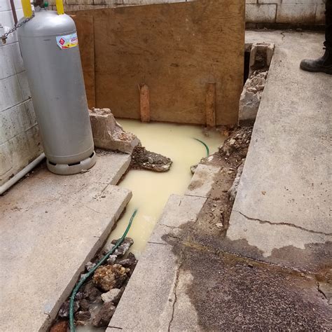 Bop House Sex Leak Videos & Photos 2025 #799