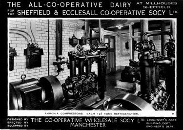 Searching Picture Sheffield