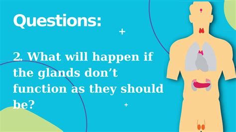 Image result for Endocrine System Grade 12 Lesson