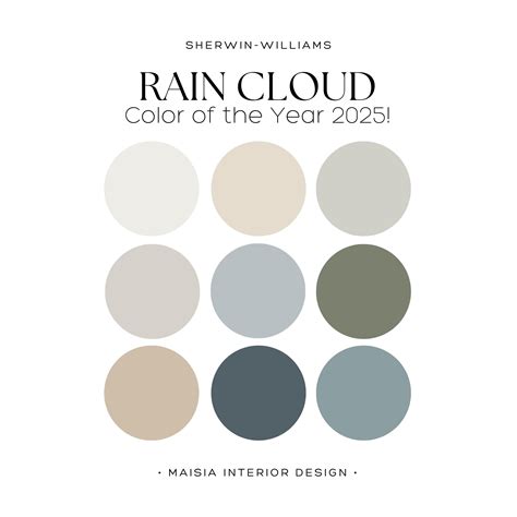 Rain cloud sherwin williams color palette of the year 2025 whole house paint palette modern ...