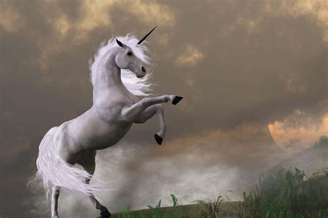 Download A majestic real-life Unicorn | Wallpapers.com