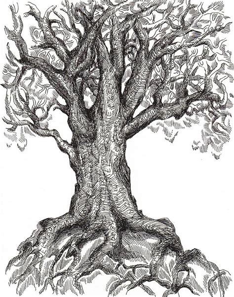 Image result for Tree Texture Drawing