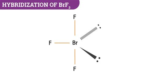 Brf3 Molecule