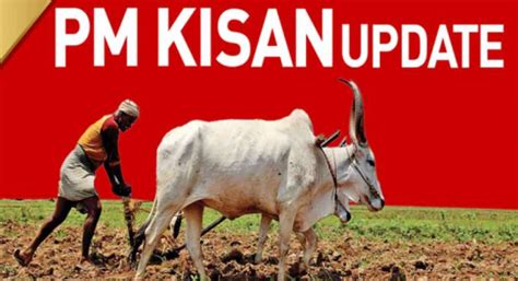 ಅರ್ಹ ಫಲಾನುಭವಿಗಳಿಗೆ ಅಗಸ್ಟ್ 2 ರಂದು ಪಿಎಂ ಕಿಸಾನ್ 20ನೇ ಕಂತು,ನಿಮ್ಮ ಅರ್ಹತೆ ...