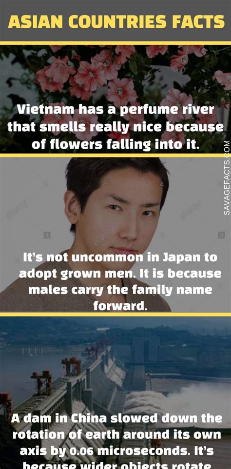 Fun Facts About East Asia: Culture, History, & More